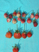 Земклуника в сравнение-вверху Дива и Киш-миш,посередине Гигант,внизу ягода обычной клубники садовой (крупная!)